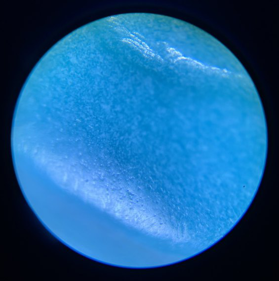 细密度高的松石在一百倍显微镜下的照片